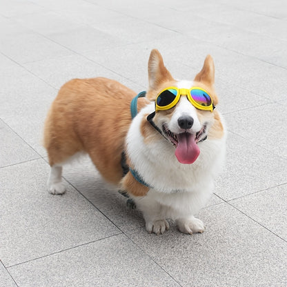 Stylish UV Protection Dog Shades