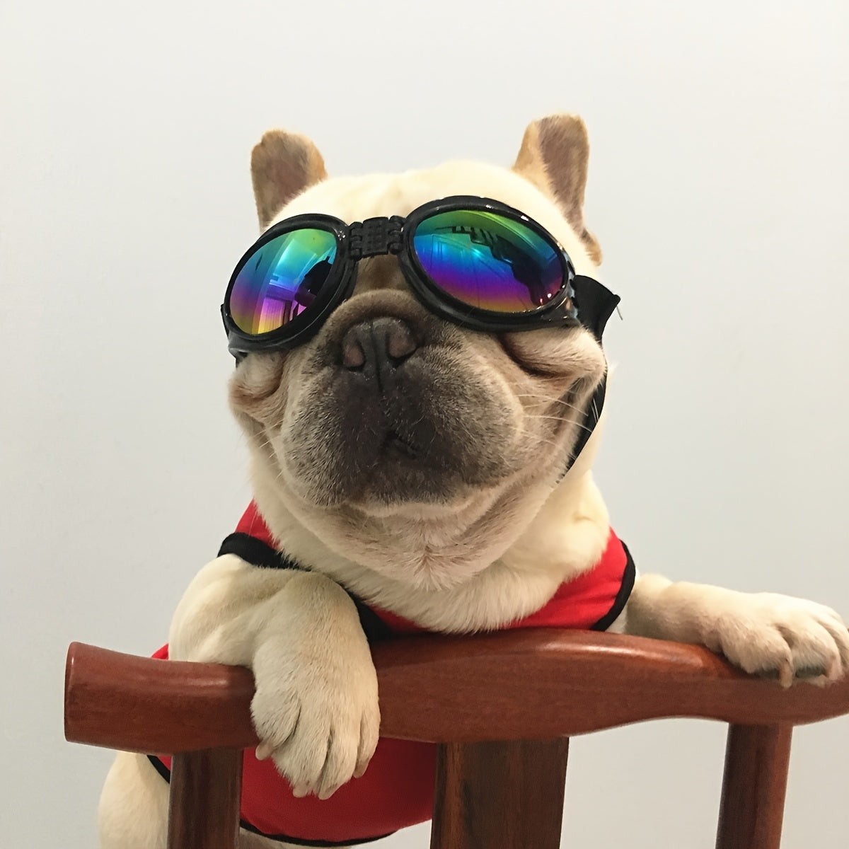 Stylish UV Protection Dog Shades