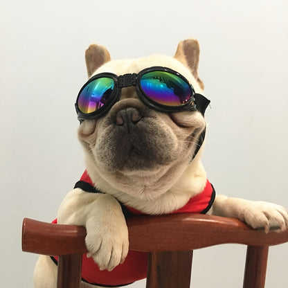 Stylish UV Protection Dog Shades