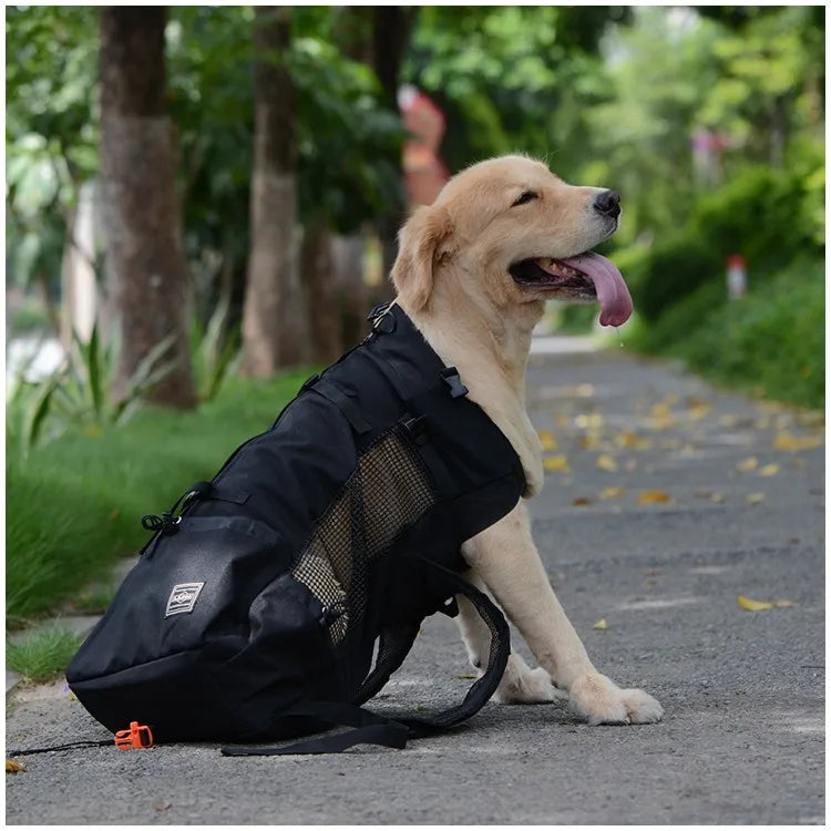 Hiking Pet Dog Carrier