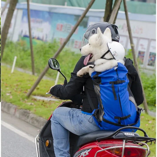 Hiking Pet Dog Carrier