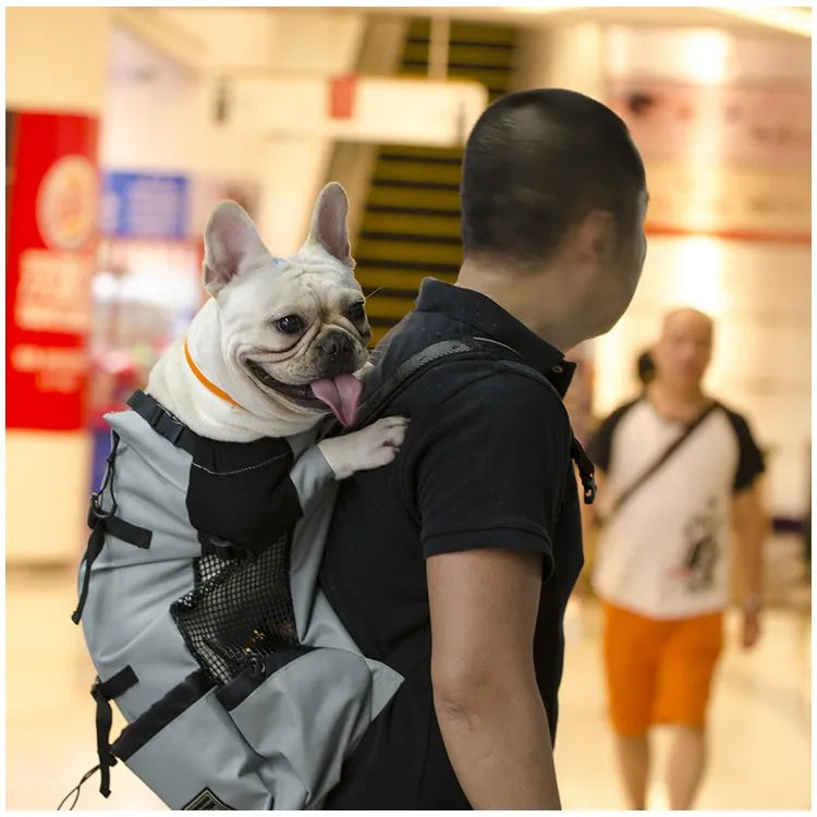Hiking Pet Dog Carrier