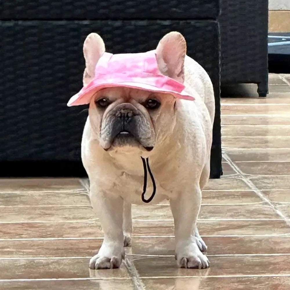 Pet Hats with Ear Holes