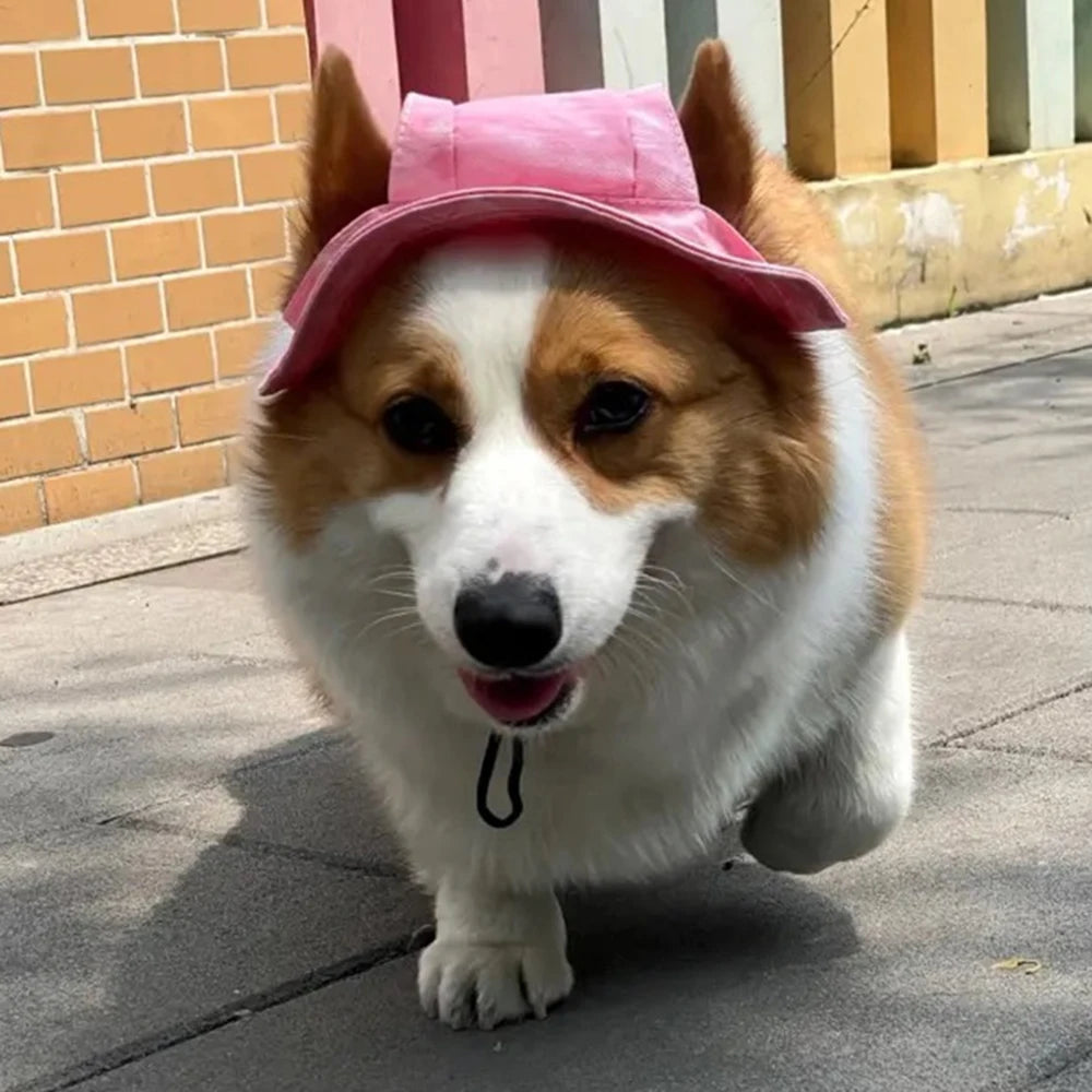 Pet Hats with Ear Holes