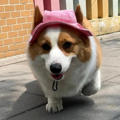 Pet Hats with Ear Holes