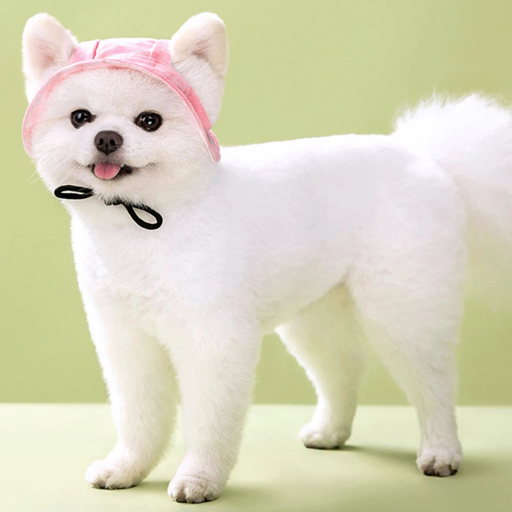 Pet Hats with Ear Holes