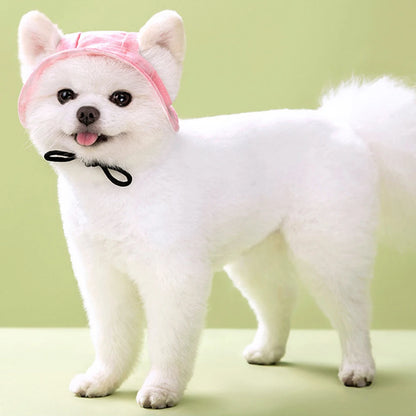 Pet Hats with Ear Holes