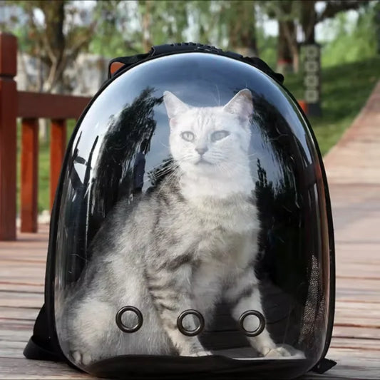 Cat Bag