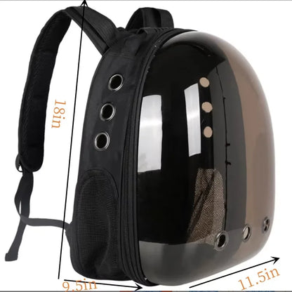 Cat Bag