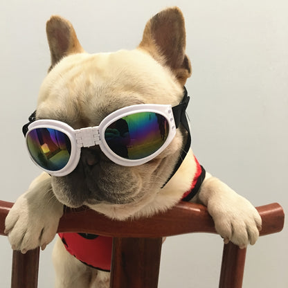 Stylish UV Protection Dog Shades